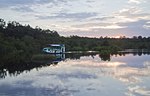 Tanjung Puting sunset cruise